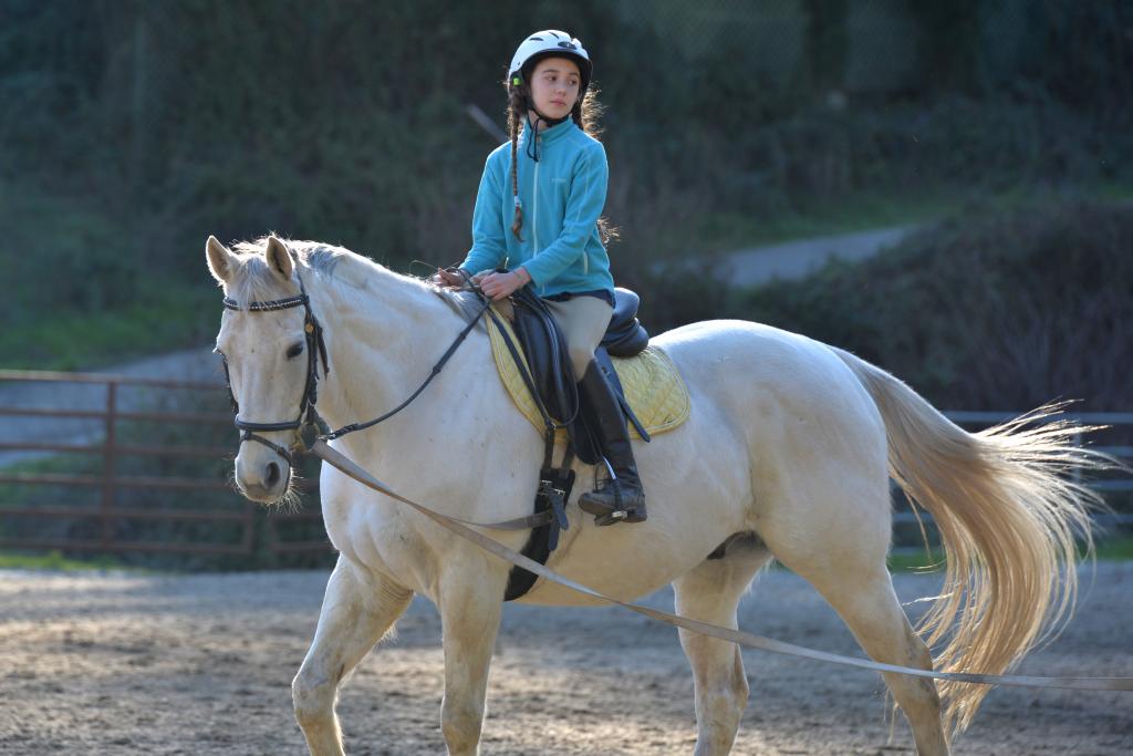 Lesson on Cecil. (Square Peg Foundation/Robyn Peters Photography )